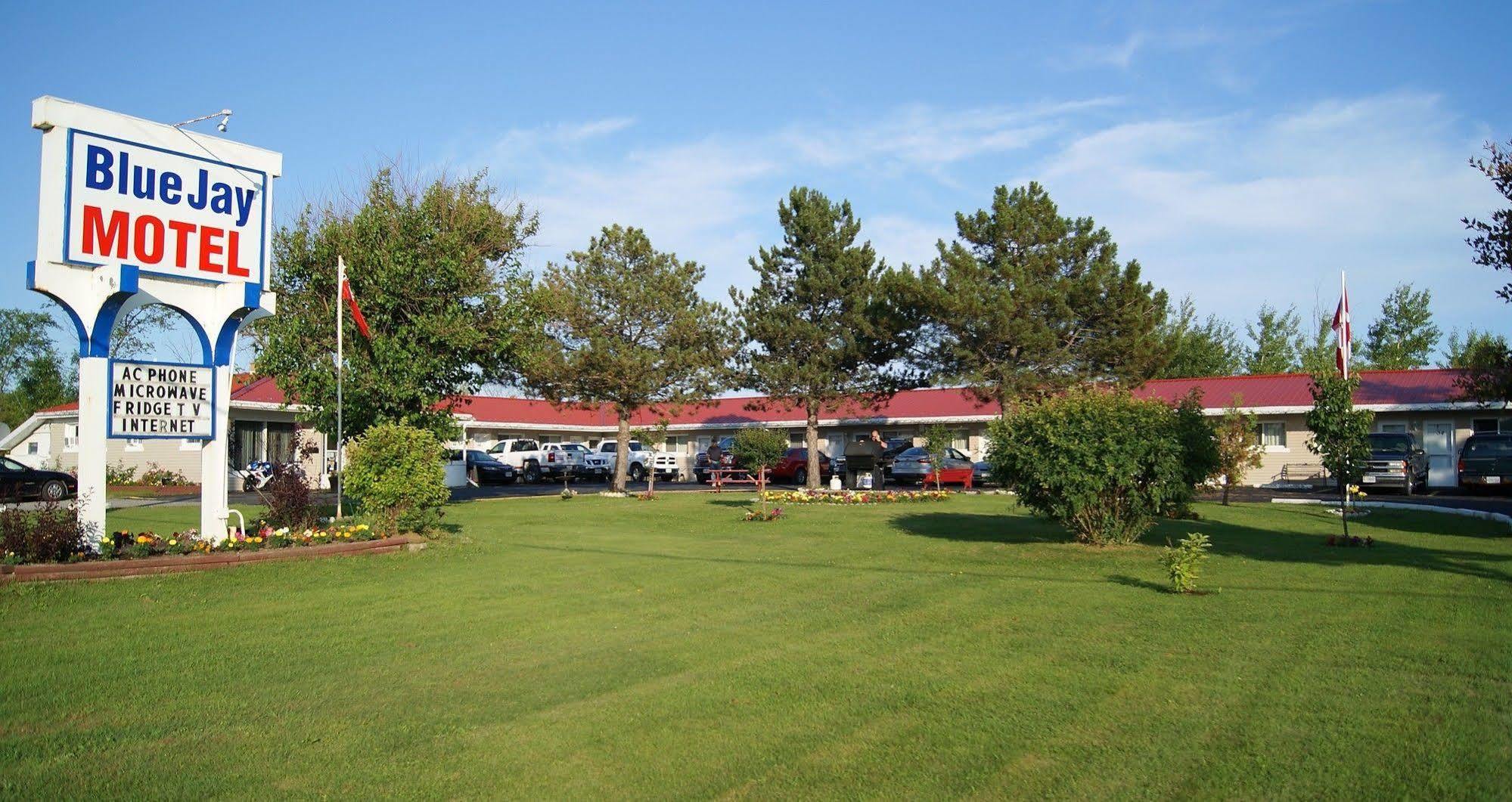 Blue Jay Motel Peterborough Bagian luar foto
